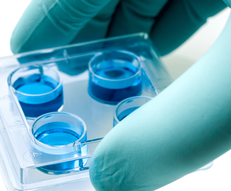 A hand grips a test tube