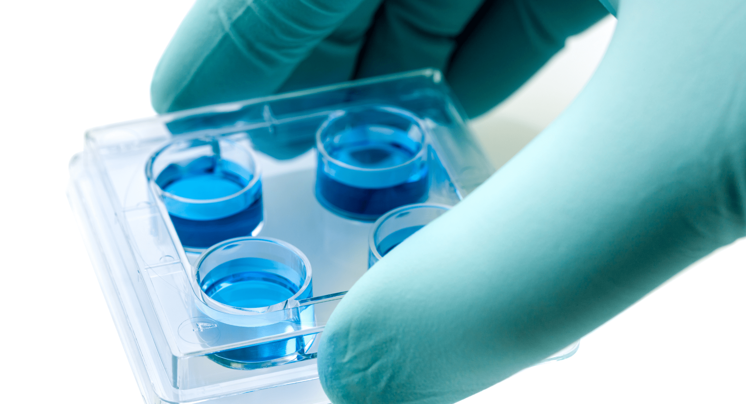 A hand grips a test tube