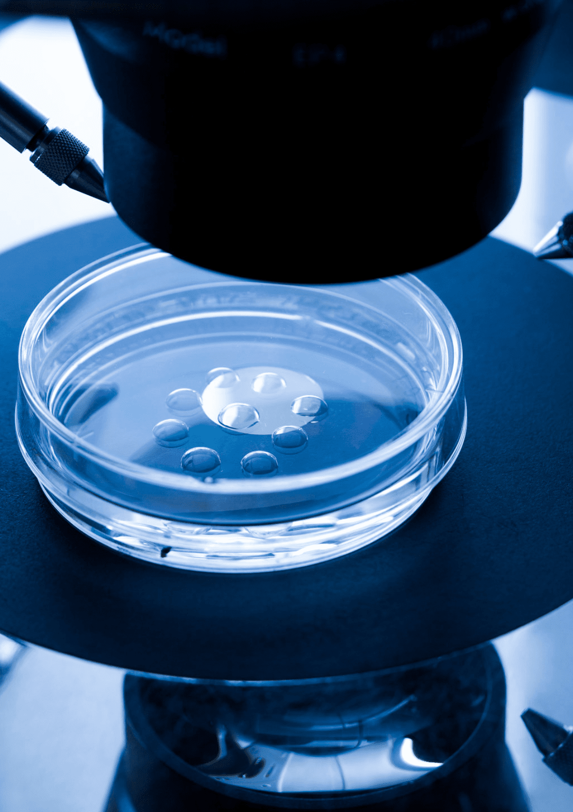 A close-up view of a microscope