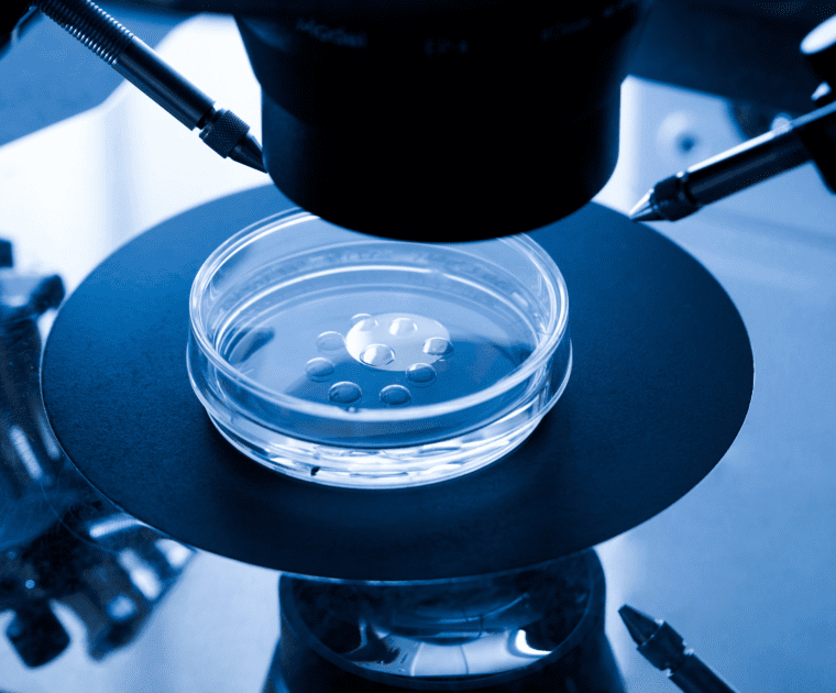 A close-up view of a microscope
