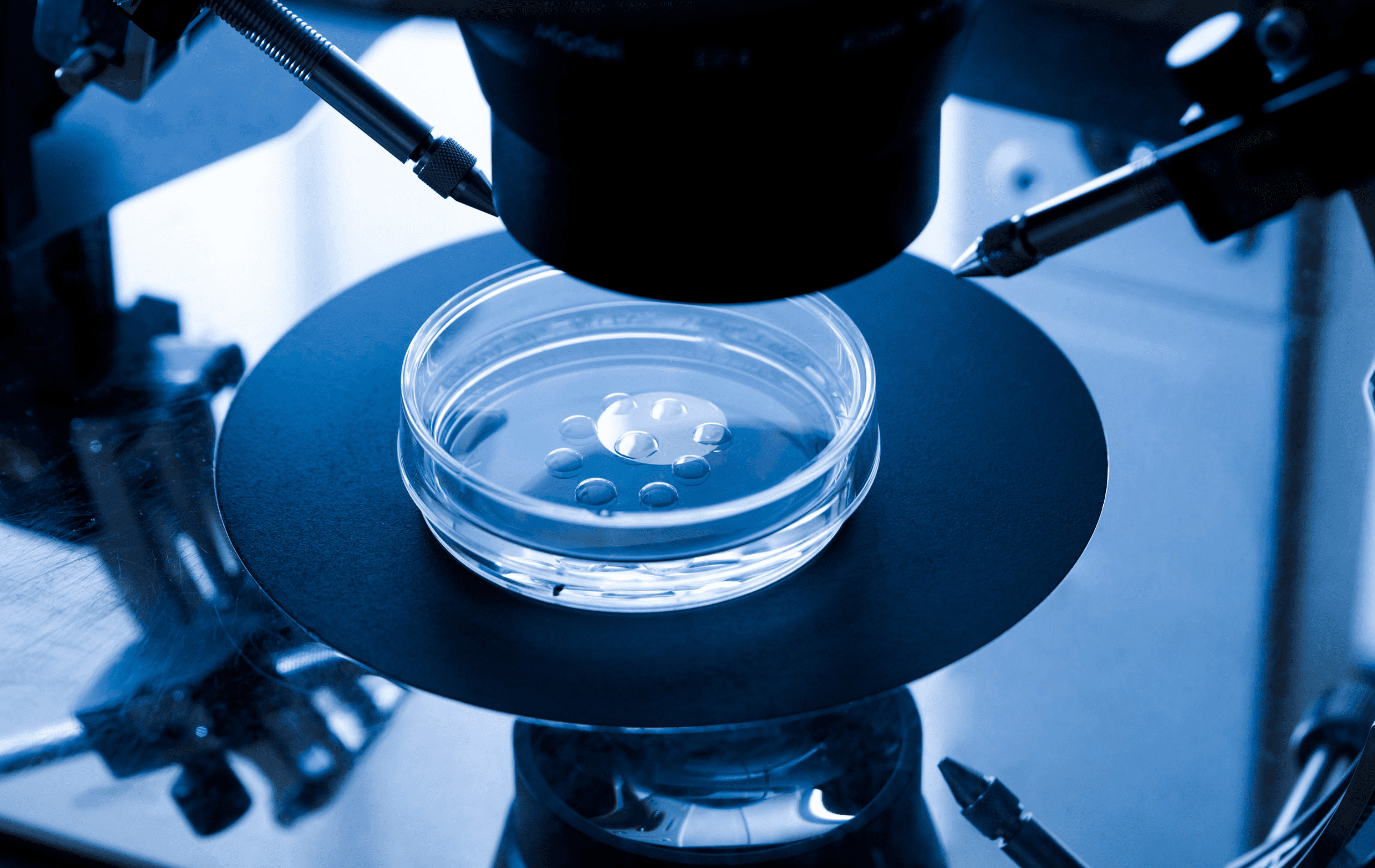 A close-up view of a microscope